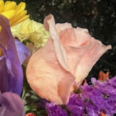 Seller Image